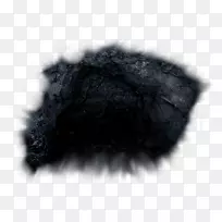 毛皮鼻子白色黑色m-空若网 毛皮鼻子白色黑色m-空若网