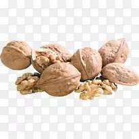 Ӣ������-����-������