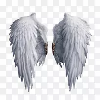 剪贴画-白色翅膀-空若网 剪贴画-白色翅膀-空若网