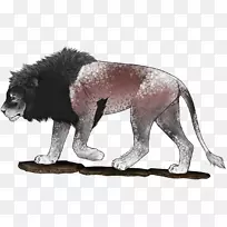 狮子大猫陆生动物野生动物-狮子-空若网 狮子大猫陆生动物野生动物-狮子-空若网