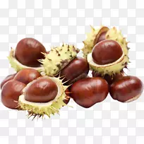 栗子橡子-空若网 栗子橡子-空若网