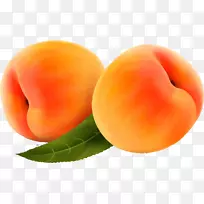 ��������-������