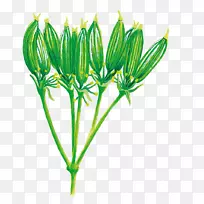 开花植物茎花-空若网 开花植物茎花-空若网