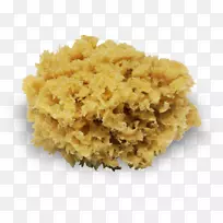 吸血鬼:笔记本海洋剪贴画-空若网 吸血鬼:笔记本海洋剪贴画-空若网