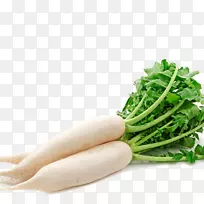 萝卜根菜-蔬菜-空若网 萝卜根菜-蔬菜-空若网
