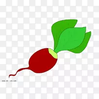 ²ËÔ°Âܲ·»æÍ¼¹âդͼÐμô¼ÒÕÊõ-Êß²Ë-¿ÕÈôÍø ²ËÔ°Âܲ·»æÍ¼¹âդͼÐμô¼ÒÕÊõ-Êß²Ë-¿ÕÈôÍø