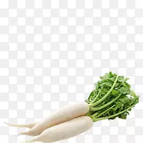 ´ú¿µÓлúʳƷÊß²ËÂܲ·ÏãÁÏÊß²Ë-¿ÕÈôÍø ´ú¿µÓлúʳƷÊß²ËÂܲ·ÏãÁÏÊß²Ë-¿ÕÈôÍø