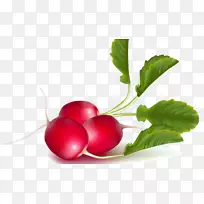 ��԰�ܲ�������ʳƷ-������