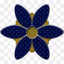 �����ֽiPhone���ͻ�ͼ-������