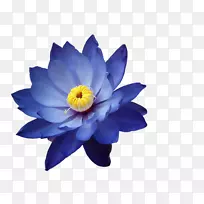 ����������-������