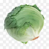 十字花科蔬菜,卷心菜-空若网 十字花科蔬菜,卷心菜-空若网
