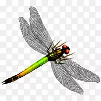 Æ½ÃæÉè¼Æ¼ôÌù».Éè¼Æ-¿ÕÈôÍø Æ½ÃæÉè¼Æ¼ôÌù».Éè¼Æ-¿ÕÈôÍø