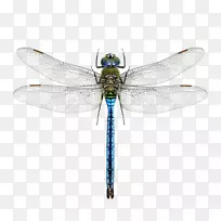 òßòÑ£¿ÎóæÒíÖëÍòÊ¥½ÚÆìòßòÑ-¿ÕÈôÍø òßòÑ£¿ÎóæÒíÖëÍòÊ¥½ÚÆìòßòÑ-¿ÕÈôÍø