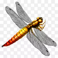 òßòÑÒíÁú¼ôÌù»-òßòÑ-¿ÕÈôÍø òßòÑÒíÁú¼ôÌù»-òßòÑ-¿ÕÈôÍø