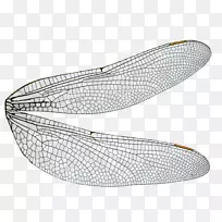 �������������-������