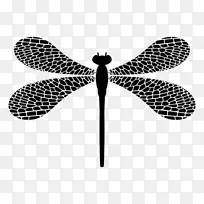 蜻蜓昆虫绘画艺术-蜻蜓-空若网 蜻蜓昆虫绘画艺术-蜻蜓-空若网