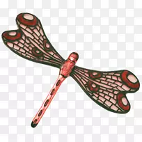 ���槱��ڧܧ�ѧ�ѷ�װ��������ֲ��Ů������-������