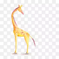 纸水彩画贺卡儿童插图手绘水彩卡通长颈鹿-空若网 纸水彩画贺卡儿童插图手绘水彩卡通长颈鹿-空若网