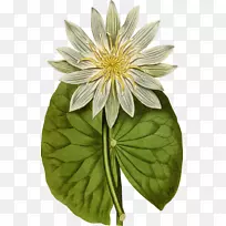 平面设计艺术水彩画剪贴画设计-空若网 平面设计艺术水彩画剪贴画设计-空若网