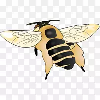 �۷������Ʒ������-�۷�-������