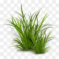 ���ؼ�����-������