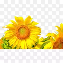 ͨ�����տ�AndroidӦ�ó����-���տ�-������