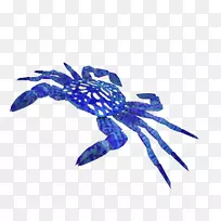 з��з-������