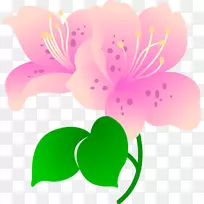 ��װ��Ǽ�����-��-������