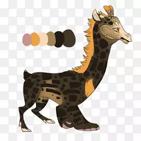 长颈鹿野生动物食肉太阳熊-空若网 长颈鹿野生动物食肉太阳熊-空若网