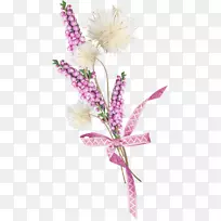 野花-空若网 野花-空若网