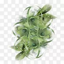 相框纸摄影问候-空若网 相框纸摄影问候-空若网