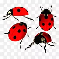 瓢虫剪贴画-空若网 瓢虫剪贴画-空若网