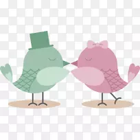 爱鸟图-爱情鸟-空若网 爱鸟图-爱情鸟-空若网