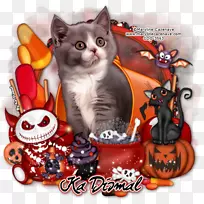 Сè�룬���ӣ�צ��-Сè-������