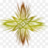 Ï߶Գƽü¾àÀëÉÌÆ·Ïß-¿ÕÈôÍø Ï߶Գƽü¾àÀëÉÌÆ·Ïß-¿ÕÈôÍø