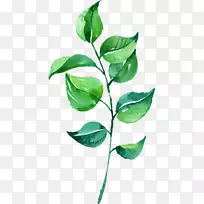 Ò¶Ë®²Ê».Ë®²Ê»Ò¶-¿ÕÈôÍø Ò¶Ë®²Ê».Ë®²Ê»Ò¶-¿ÕÈôÍø