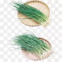 �������д��������-���-������