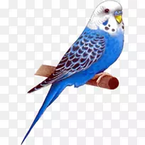 解耦动画电影-空若网 解耦动画电影-空若网