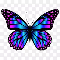 蝴蝶昆虫蓝色剪贴画-蝴蝶-空若网 蝴蝶昆虫蓝色剪贴画-蝴蝶-空若网