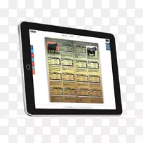 ����˹ţ��ţ����˹��־-����˹-������