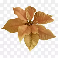 Ê¥µ®¼ôÌù»-Ê¥µ®½Ú-¿ÕÈôÍø Ê¥µ®¼ôÌù»-Ê¥µ®½Ú-¿ÕÈôÍø