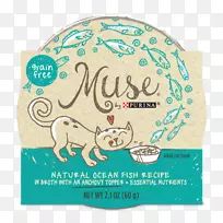 猫食鱼汤-空若网 猫食鱼汤-空若网