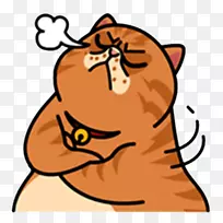 胡须猫狗鼻子夹艺术猫-空若网 胡须猫狗鼻子夹艺术猫-空若网