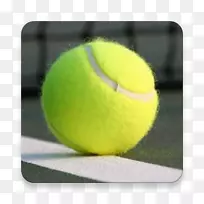 ����ְҵ�������ֵ���-���ֲ�����-������