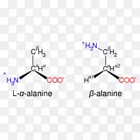 �������԰������-������-��-������