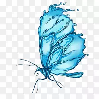 蓝水晶蝶-空若网 蓝水晶蝶-空若网