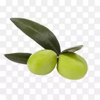橄榄油水果-两种橄榄-空若网 橄榄油水果-两种橄榄-空若网