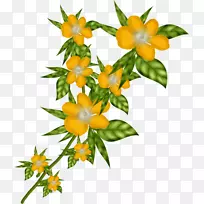 花卉设计切花花盆-花卉-空若网 花卉设计切花花盆-花卉-空若网