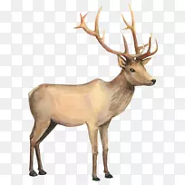 ѱ¹ˮ²Ê»Ñ±Â¹-¿ÕÈôÍø ѱ¹ˮ²Ê»Ñ±Â¹-¿ÕÈôÍø