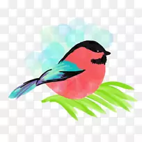 ���-������